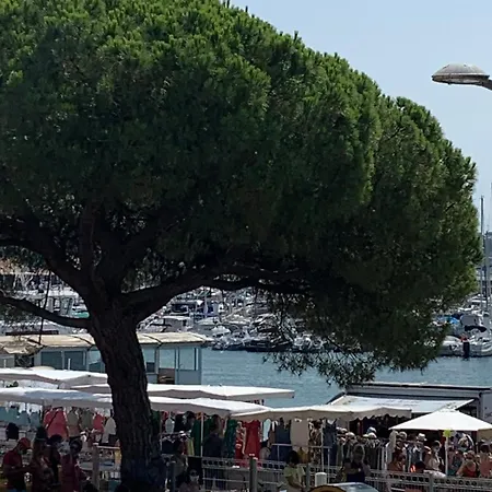 Terrasse Avec Superbe Vue & Pieds Dans L'eau Feriehus