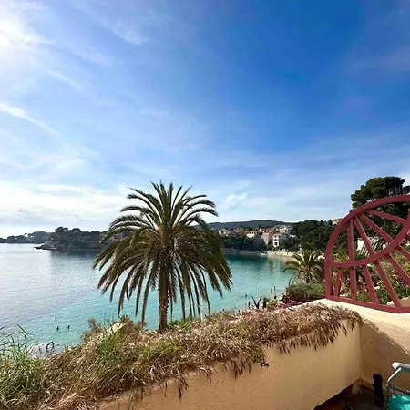 Terrasse Avec Superbe Vue & Pieds Dans L'eau